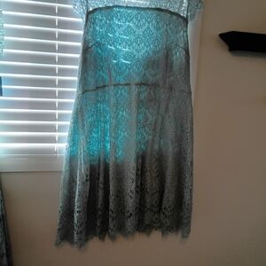 Elegant Lace Ombre Dress